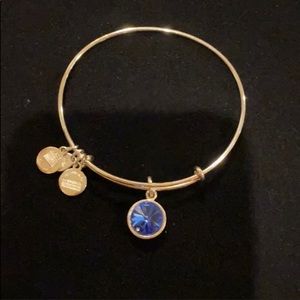 🦃 Alex and Ani blue stone silver bangle